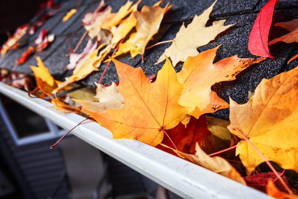 Prepping Your Roof for the Fall
